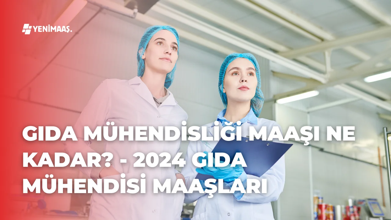 Gıda Mühendisliği Maaşı Ne Kadar? – 2024 Gıda Mühendisi Maaşları