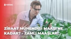 Ziraat Mühendisi Maaşı Ne Kadar? – 2024 Zamlı Maaşları